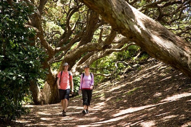 Auckland City & West Coast Luxury Tour - FAQ