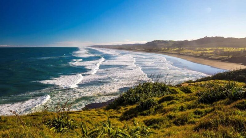 Auckland: Coast to Coast Private Eco Tour - The Itinerary in Detail