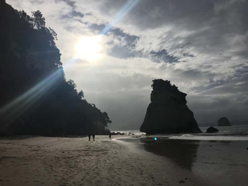 Auckland: Coromandel Beach, Caves & Forest Private Tour - FAQ