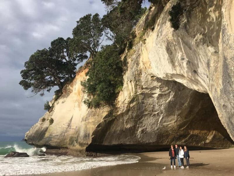 Auckland: Coromandel Day Tour including Hot Water Beach - What to Expect on the Tour