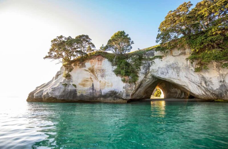 Auckland: COROMANDEL Driving Creek & CATHEDRAL COVE day tour - A Closer Look at the Itinerary