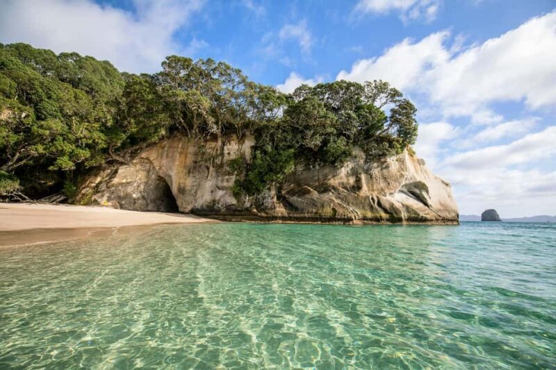 Auckland: COROMANDEL Driving Creek & CATHEDRAL COVE day tour - Authentic Insights from Reviews