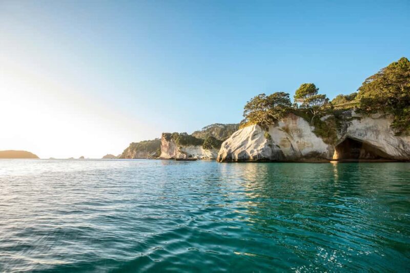 Auckland: COROMANDEL Driving Creek & CATHEDRAL COVE day tour - FAQ