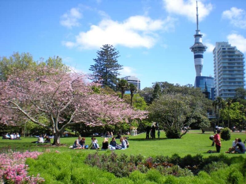 Auckland Family Tales: Private Stroll in the City of Sails - Final Thoughts