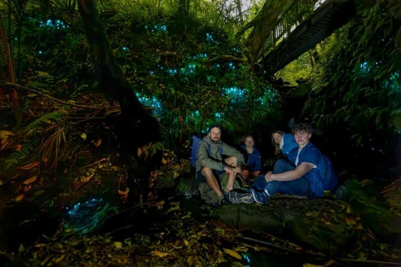 Auckland Glowworm Tour - Key Points