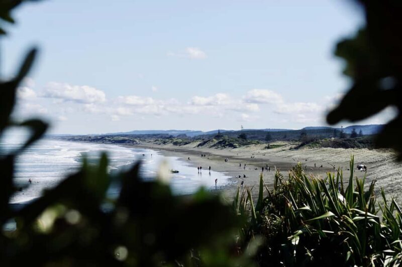 Auckland: Group Surfing Lesson with Muriwai Surf School - The Sum Up  