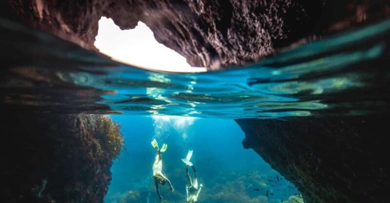 Auckland: Guided Snorkeling and Island Exploration Tours - Key Points