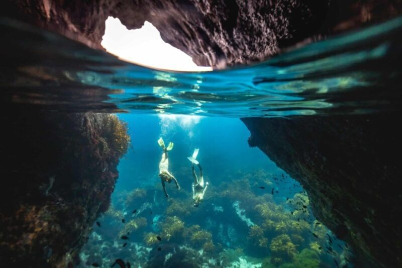 Auckland: Guided Snorkeling and Island Exploration Tours - Exploring the Itinerary: What You Can Expect from Start to Finish