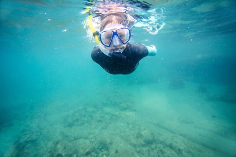 Auckland: Guided Snorkeling and Island Exploration Tours - Final Thoughts: Who This Tour Is Perfect For