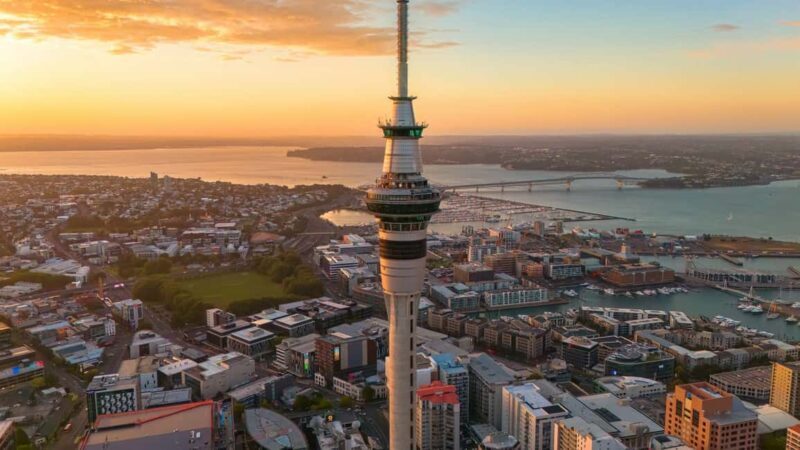 Auckland Half Day Attractions and Museums Tour - Key Points