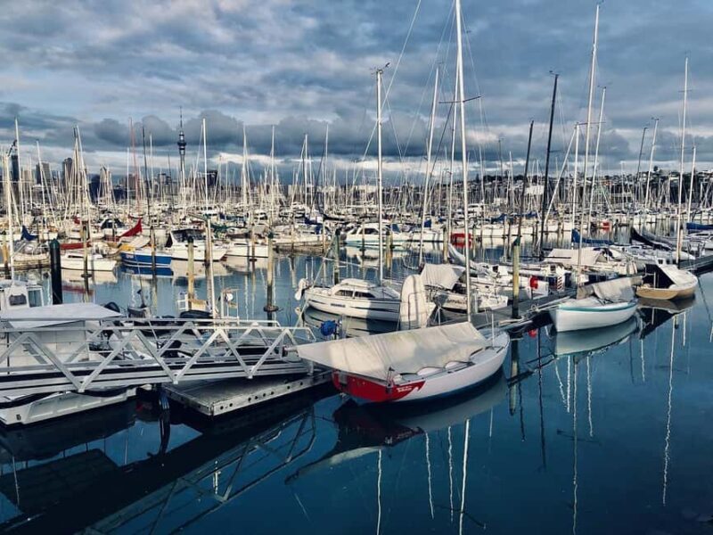 Auckland Half Day Attractions and Museums Tour - Discover the Best of Auckland in Half a Day