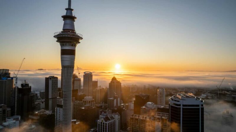 Auckland Half Day Attractions and Museums Tour - Why This Tour Offers Good Value