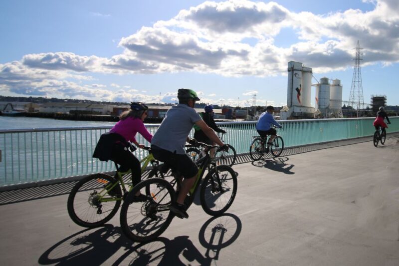 Auckland Half-Day Ebike Tour Excursion - Practical Details and Considerations