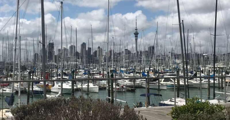 Auckland: Half-Day Private City Highlights Tour - Key Points
