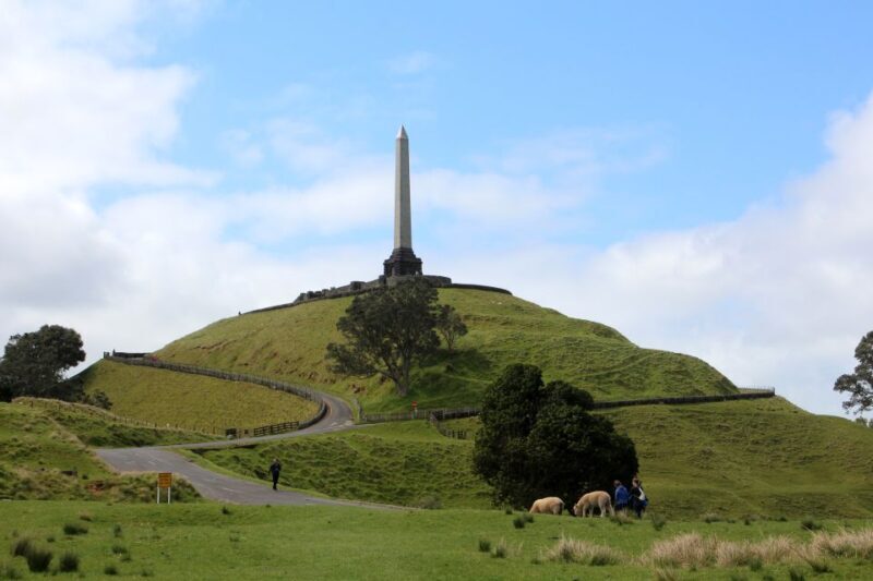 Auckland: Half-Day Private City Highlights Tour - Exploring Auckland in Four Hours: What to Expect
