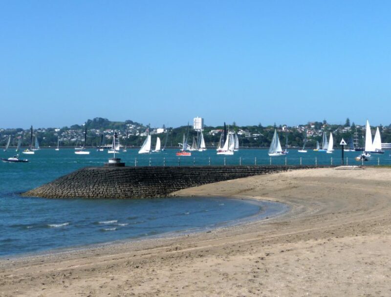 Auckland: Half-Day Private City Highlights Tour - The Practical Details  