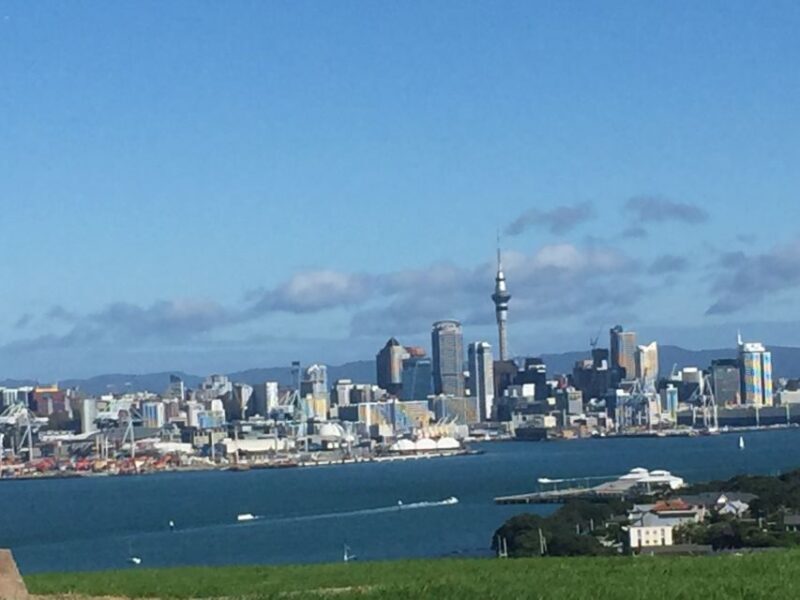 Auckland: Half-Day Private City Highlights Tour - Who Will Love This Tour?
