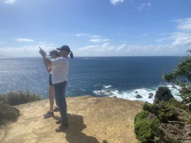 Auckland: Half-Day Private City Highlights Tour - Final Thoughts