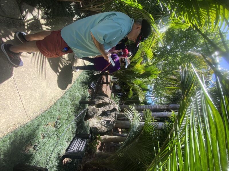 Auckland: Half-Day Private City Highlights Tour - FAQ