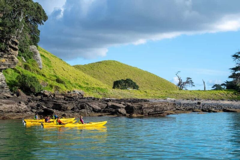 Auckland: Half-Day Sea Kayak Tour to Motukorea Island - Key Points