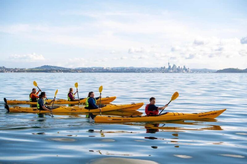 Auckland: Half-Day Sea Kayak Tour to Motukorea Island - An Authentic Look at the Experience