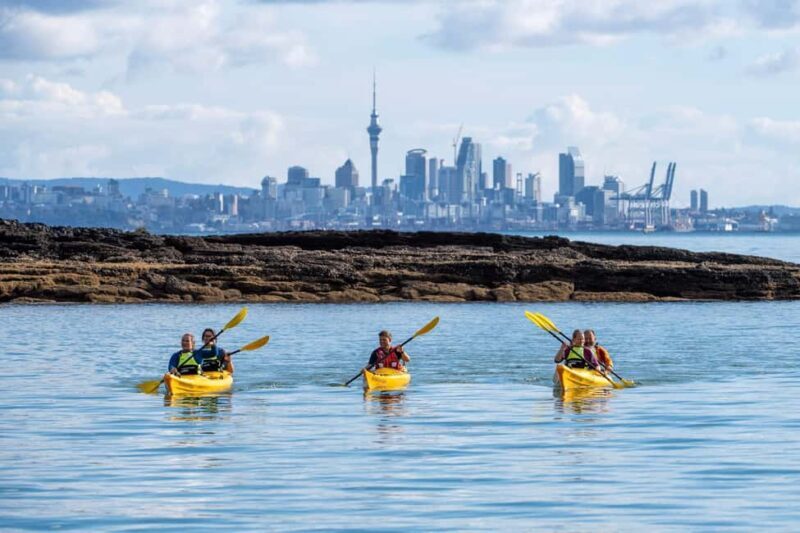 Auckland: Half-Day Sea Kayak Tour to Motukorea Island - Authentic Experiences from Past Travelers