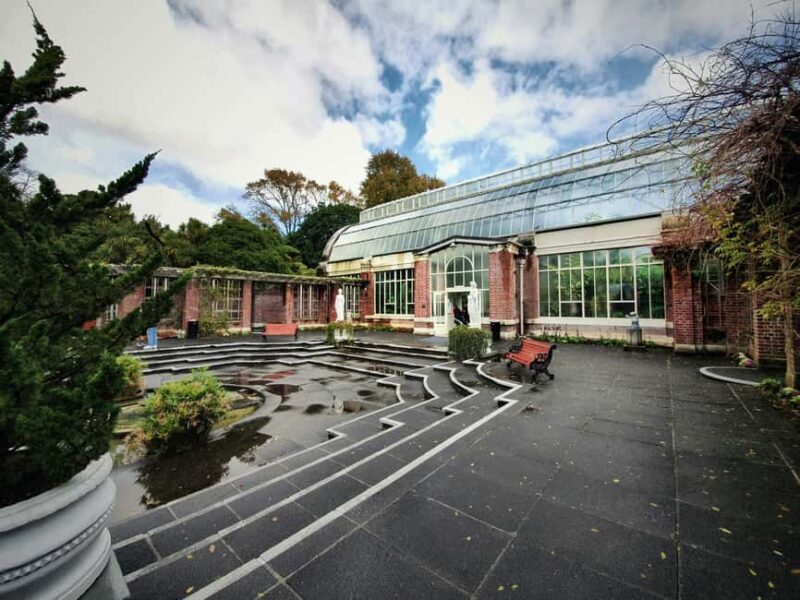 Auckland Half Day Tour Through Urban Wonders - Final Thoughts
