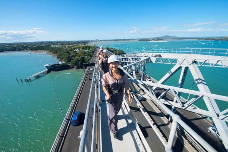 Auckland Harbour Bridge Climb & Bungy Combo - The Itinerary: What You Can Expect