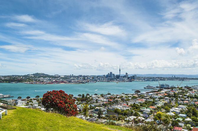 Auckland Harbour Cruise - Who Should Book This Tour?