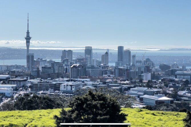 Auckland Highlight Fullday City Tour - Authentic Insights from Reviewers