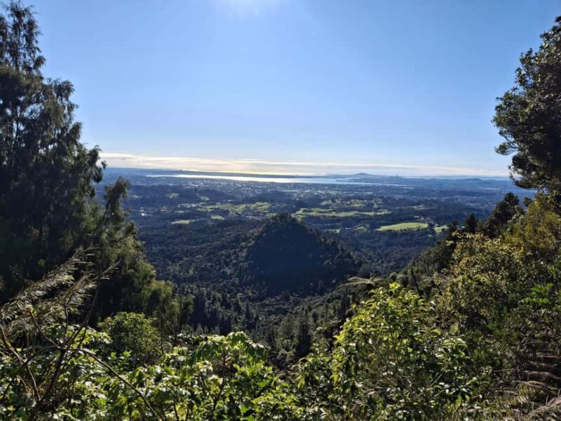 Auckland: Hiking West Auckland Rainforest & Waterfalls Tour - Key Points
