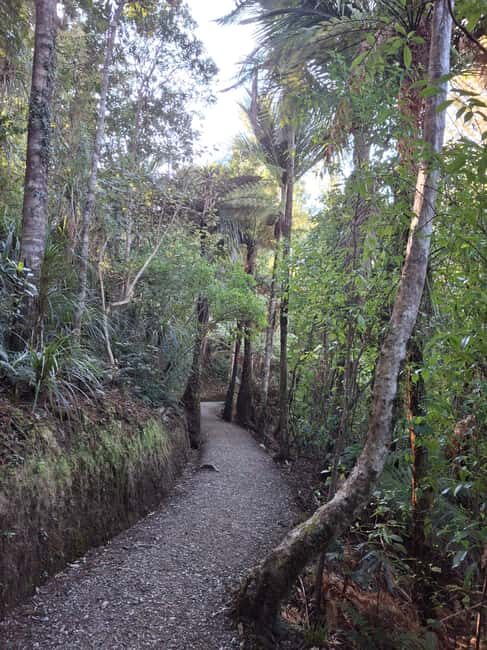 Auckland: Hiking West Auckland Rainforest & Waterfalls Tour - An Authentic Wilderness Escape Just Outside Auckland