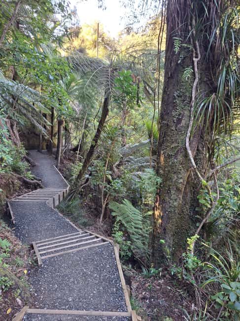 Auckland: Hiking West Auckland Rainforest & Waterfalls Tour - Final Thoughts: Who Will Love This Tour?