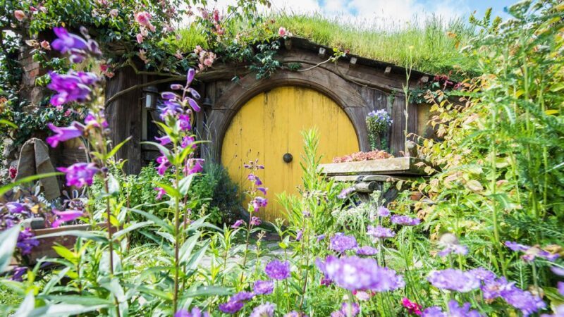 Auckland: Hobbiton and Rotorua Day Tour including Te Puia - Rotorua: Thermal Marvels and Maori Culture