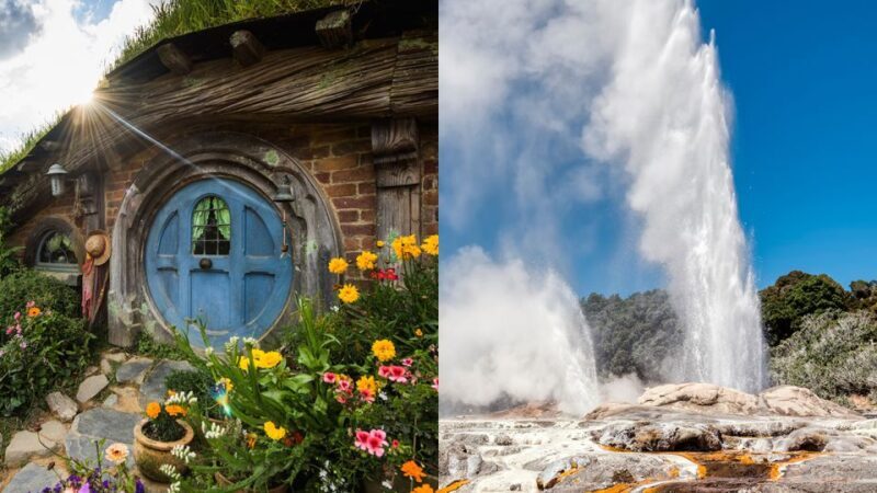Auckland: Hobbiton and Rotorua Day Tour including Te Puia - Is This Tour Worth It?