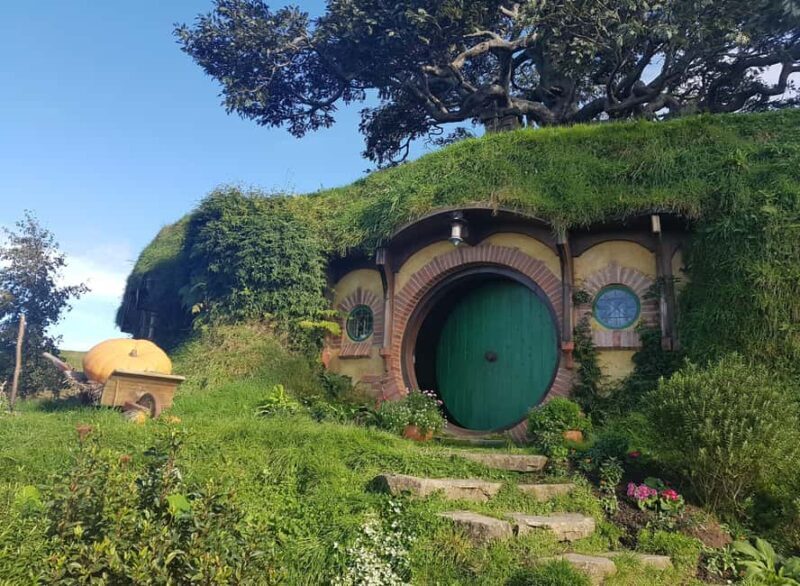 Auckland: Hobbiton, Rotorua, Waiotapu and Waitomo 3-Day Tour - Real Traveler Insights