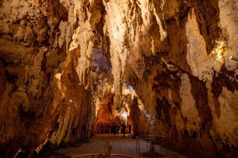 Auckland: Hobbiton, Waitomo Caves, and Rotorua 1-Way Tour - Authentic Insights from Reviews