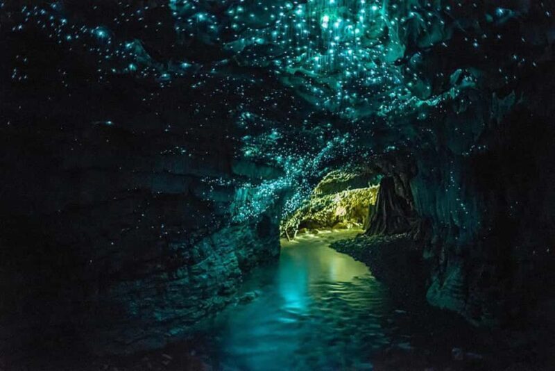 Auckland: Hobbiton & Waitomo Glow Worm Caves Private Tour - Final Thoughts
