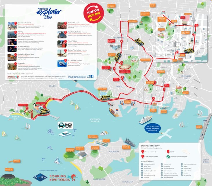 Auckland: Hop-On Hop-Off Explorer Bus Ticket - The Practical Side: Transportation, Timing, and Accessibility