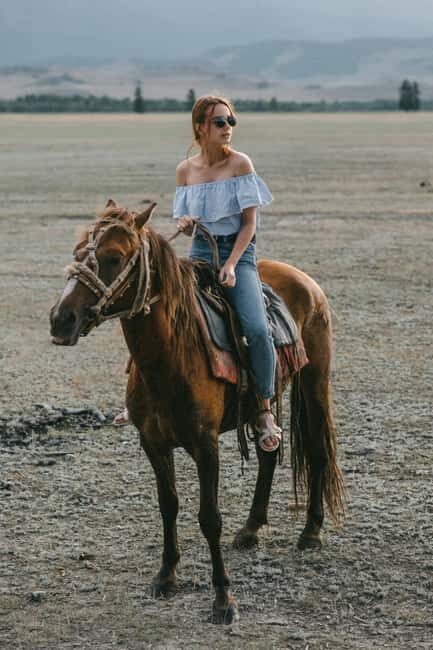 Auckland: Horseback Riding Through Vines with Wine & Dine - A Closer Look at the Experience