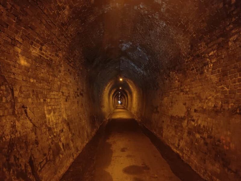 Auckland: Karangahake Gorge & Waihi Gold Explorer Tour - Key Points