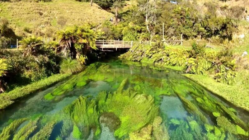 Auckland: LOTR, Hobbiton Movie Set & Hamurana Spring Tour - Key Points  