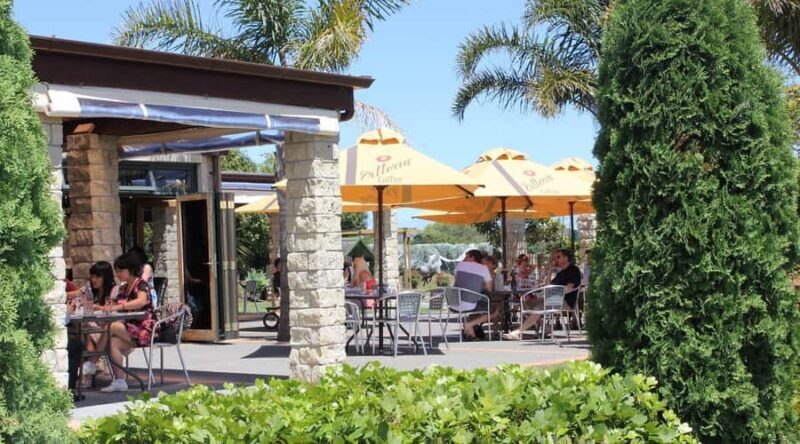 Auckland: Luxury Kumeu Wine Tour with Gourmet Lunch - A Closer Look at the Experience