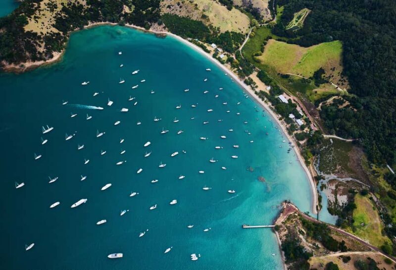 Auckland: Man O' War Vineyard Ferry (Waiheke Island) - The Journey to Waiheke: What to Expect