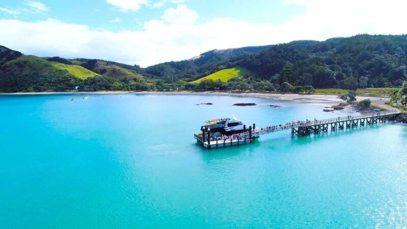 Auckland: Man O' War Vineyard Ferry (Waiheke Island) - Authentic Experiences and Insights from Reviews