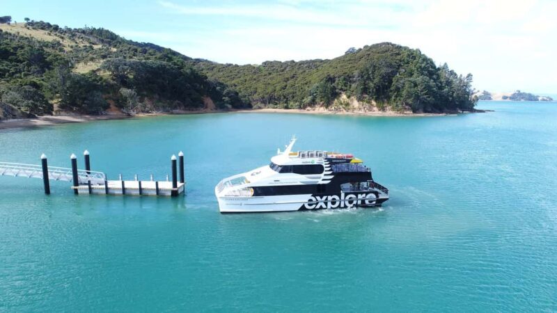 Auckland: Man O' War Vineyard Ferry (Waiheke Island) - Who Will Love This Tour?