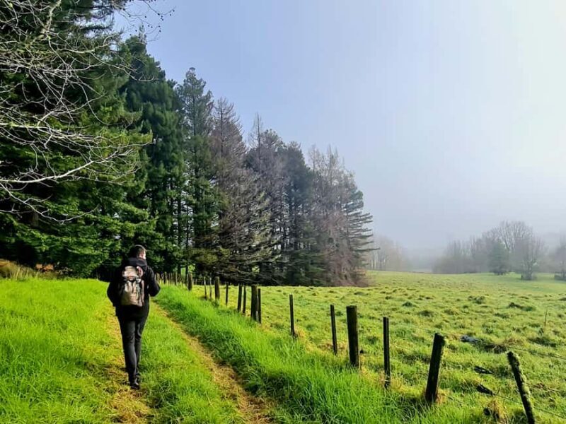 Auckland Nature Tour - FAQs
