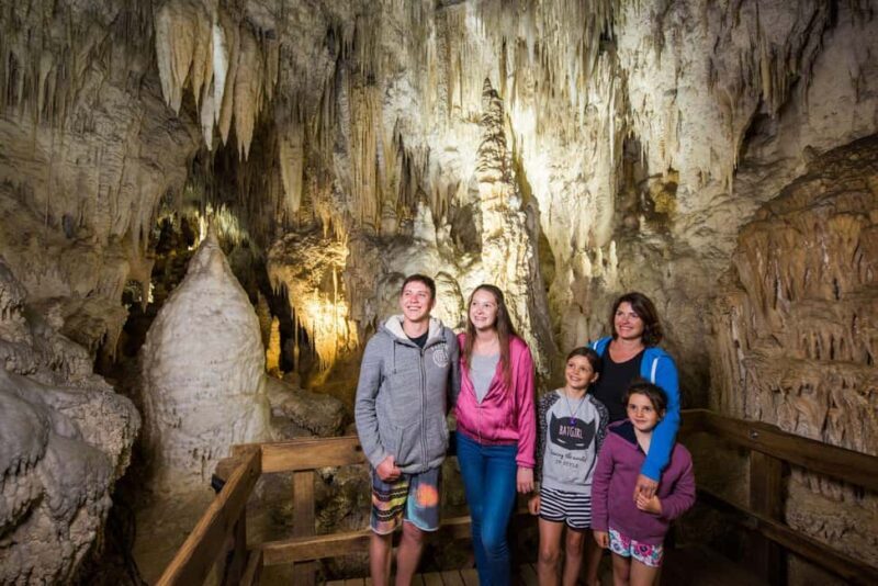 Auckland: One-Way Tour to Rotorua with Waitomo Caves - Detailed Review