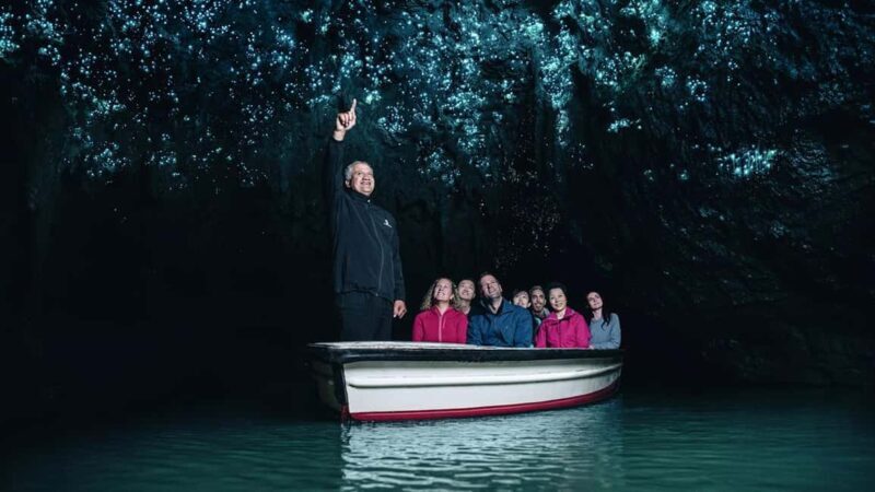 Auckland: One-Way Tour to Rotorua with Waitomo Caves - Who Is This Tour Best For?