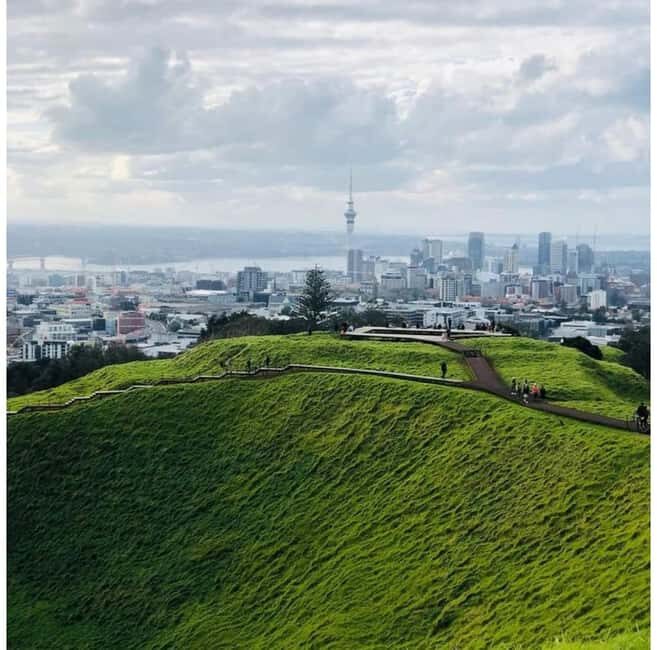 Auckland: Piha Beach, Rainforest, & Mount Eden Private Tour - What You Might Not Love